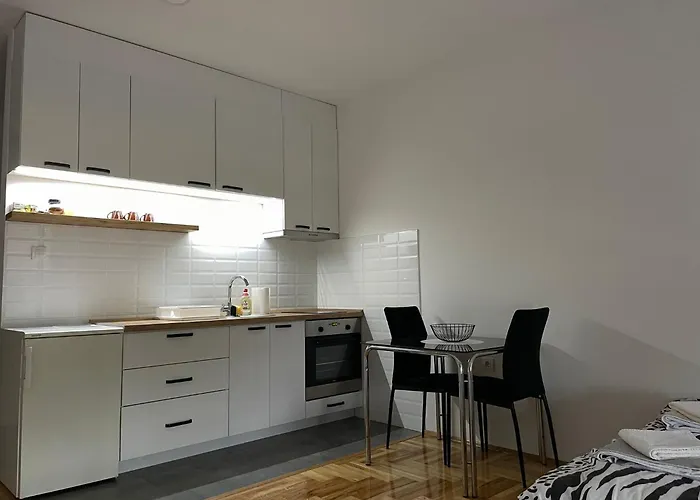 Apartman Novi Sad B&W