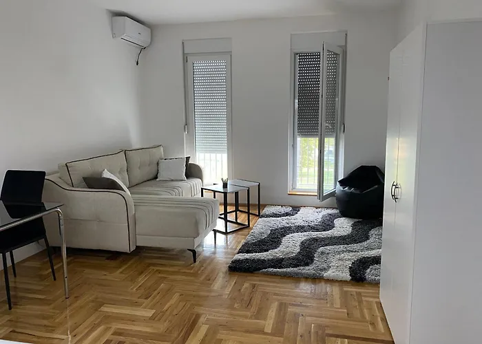 Apartman Novi Sad B&W