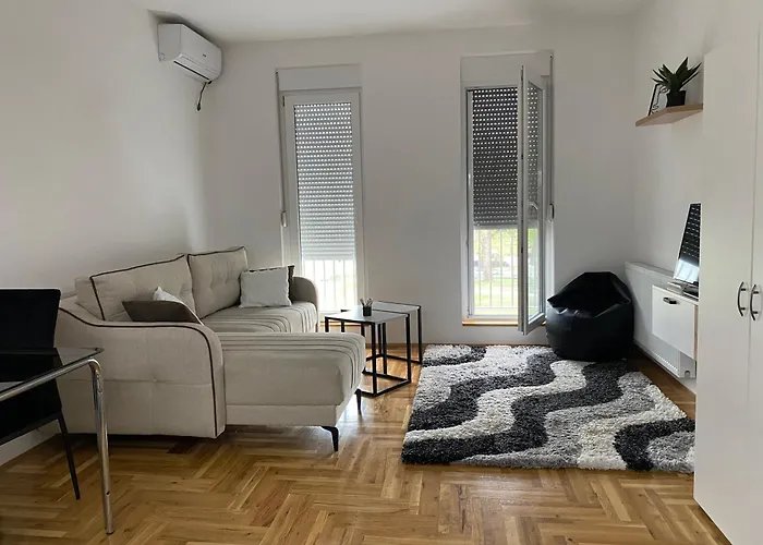 Apartman Novi Sad B&W
